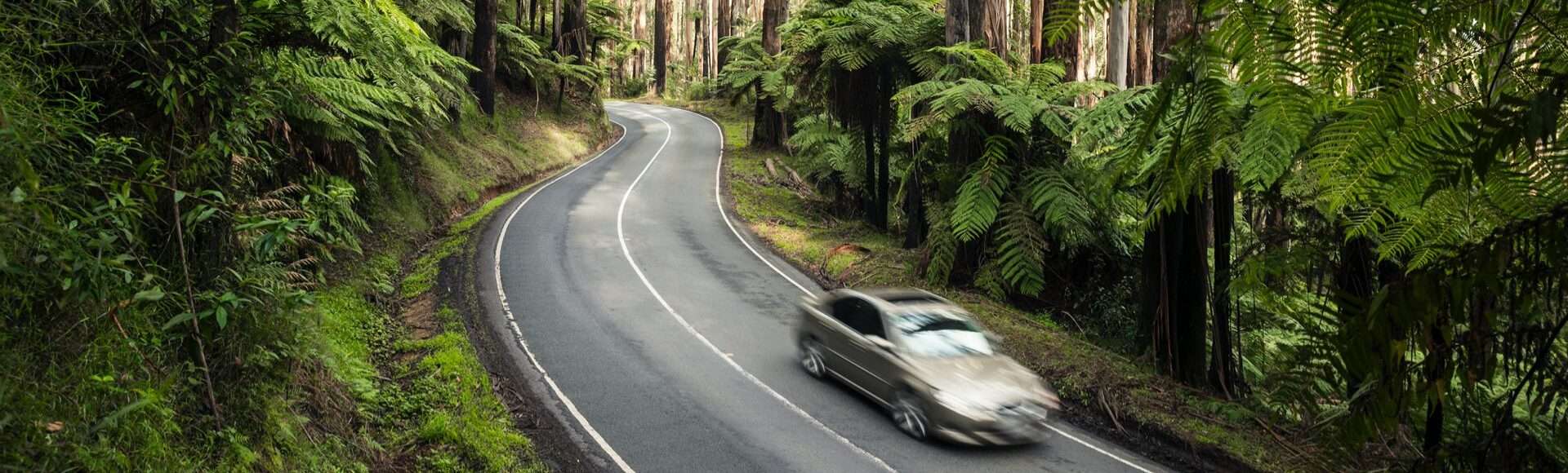 Car driving down one of the best driving roads in Victoria