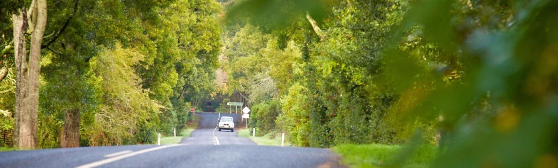 Country-side road