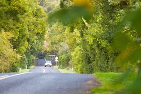 Country-side road