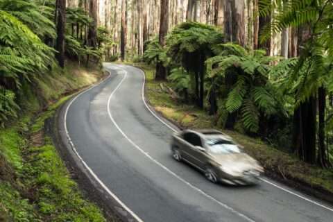 Car driving down one of the best driving roads in Victoria