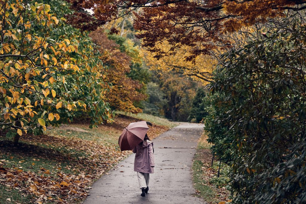 A person walking in the park