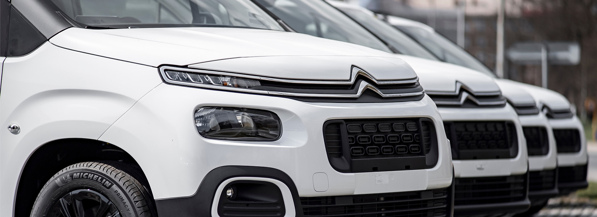 White Citroens