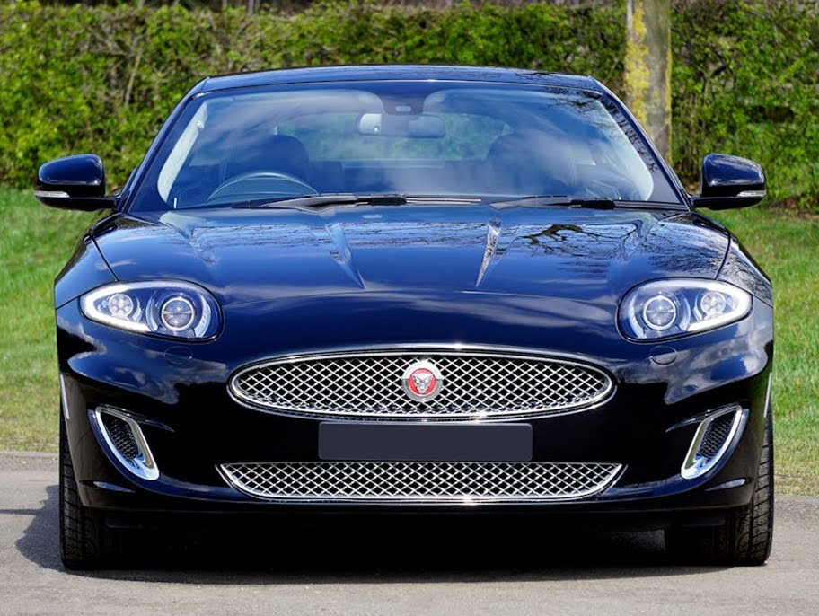The Jaguar sports a sleek, glossy black paint job that reflects the surrounding greenery, enhancing its luxurious and elegant appearance.