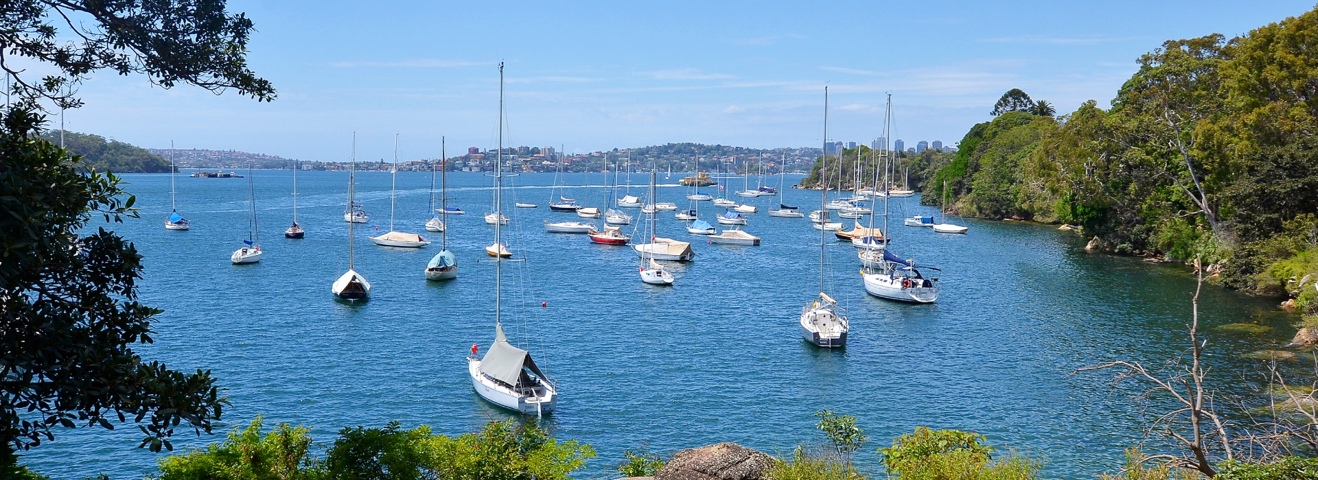 Sailboats anchored in a calm bay surrounded by lush green trees under a clear blue sky.