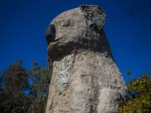 Pictured is the 14 metre tall fibreglass/bronze koala in profile. It has red eyes and a stern look on its face.
